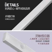 12V人体感应30CM长(含电源) 高档白光 LED人体感应灯高档橱柜灯led床底感应灯衣柜灯厨房鞋柜低压感应灯