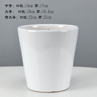 S特价亮白纹路随机高款 中等(送配套托盘) 始器简约陶瓷花盆多色桌面多肉绿萝虎皮兰仙人球绿植送托盘大号盆