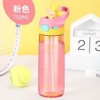 收藏三件套礼品 粉色750ml(PC材质) 特百惠水杯500ml防漏带盖滤网提绳茶韵430/380ml杯子
