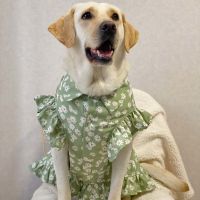 S:胸围32cm左右3-4斤 狗狗夏季衣服大型犬薄款大狗裙子可爱风中小型犬裙子衣服猫咪衣服