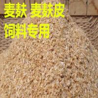 麦麸5斤 大麦虫活体3-4厘米包存活面包虫画眉鸟食金龙鱼饲料