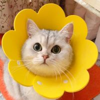 黄 S码(适合颈围10-18cm 参考体 猫脖圈猫咪圈猫软狗项圈脖圈伊莉莎白伊利沙白防舔头套绝育用品