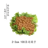 2-3cm 100条 送镊子 面包虫麦麸活虫鲜活活体八哥画眉鸟食虫子仓鼠饲料钓鱼鱼饵黄粉虫