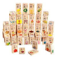 双面汉字 儿童早教木制100双面幼教多米诺学习汉字认知多米诺骨牌益智玩具