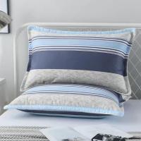 时尚条纹 一个纯棉枕套+一个定型枕芯 枕头套枕芯护颈枕一对成人学生宿舍一只装单双人枕套枕头芯家用