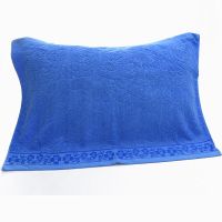 花边学生蓝一对 蓝色学生枕巾棉两条一对装不掉毛不掉毛卡通吸汗50X75大学生宿舍