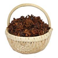 特选新柏壳5斤 柏壳枕头枕芯沂蒙山野生侧柏壳扁柏树壳助睡眠少白头乌发黑发枕头