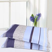 水木年华 48x74cm[枕套一只] 枕头套一对枕套一对装成人家用大号一只一个单个单人学生宿舍可爱