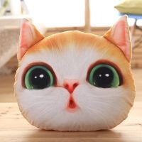 绿眼黄猫 小号抱枕40x32cm 可爱猫咪抱枕靠垫床头靠枕沙发卡通3d猫头办公室腰靠汽车护腰枕套
