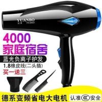 德系蓝光家用4000变频送三 发廊大功率吹风机家用理发店大风蓝光负离子不伤发学生宿舍三插头