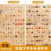 100片双面汉字多米诺(送收纳袋) 幼儿童多米诺骨牌码牌器益智力大号数字积木宝宝认汉字玩具100片