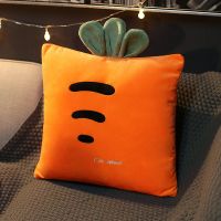 胡萝卜 (仅枕套不含枕芯)40X40cm 卡通抱枕靠垫沙发靠枕床头汽车靠背垫女生睡觉抱枕套不含芯车用