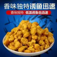 发酵玉米窝料 一斤 试用装 老坛发酵玉米麦粒五谷杂粮窝料鱼饵野钓用鲤鱼饵料水库钓鱼打窝料