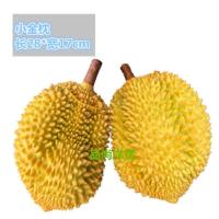 小金枕 28*18cm 假榴莲模型仿真塑料摆放工具水果店模具装饰摆件大小道具摆设橱窗