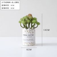 小号玻璃杯+仙人颗粒+破损包赔qw 北欧多肉仿真绿植物装饰盆栽仙人掌创意办公桌面假花ins风小摆件