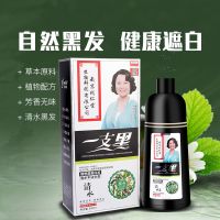 黑色 500ml 南京同仁堂一支黑染发剂彩色染发膏黑色染发一支彩泡沫无氨染发剂