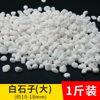 白石子[大]1斤 10~18毫米 鱼缸底砂造景石装饰品底沙子彩砂雨花石子水族箱夜光石头玻璃陶粒