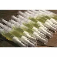 灵芝睫毛增长液 无效退款 天然植物浸泡油发际线睫毛液古代浓密乌黑眉毛古法不刺激头发毛囊