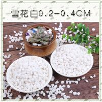 雪花白0.2-0.4CM(5斤装) 白石子鹅卵石原石天然多肉盆栽铺面园艺造景花盆白色小石头庭院
