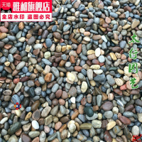 7-10厘米鹅卵石5斤(4个) 天然鹅卵石 河卵石户外铺路大石头鱼缸水族庭院景观园林造景装饰