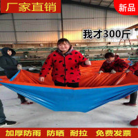 篷布防雨布防水防晒苫布加厚彩条布隔热蓬布户外遮阳搭棚塑料油.