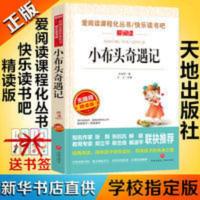 小布头奇遇记 无障碍精读版 小布头奇遇记孙幼军著 爱阅读无障碍精读版 快乐读书吧天地出版社