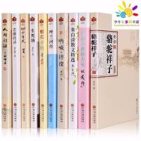 全套10本 人间词话朝花夕拾呼兰河传骆驼祥子朱自清散中国古诗词读物书籍