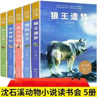 混血豺王4本 沈石溪动物小说全5册狼王遗梦狼族女王兔王绝唱豹王眉儿悲情雪豹