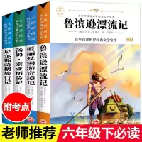 鲁滨逊+爱丽丝+汤姆+尼尔斯 全4本 六年级下册必读书目鲁滨逊漂流记汤姆索亚历险记尼尔斯骑鹅旅行记