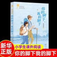 你的脚下我的脚下 你的脚下我的脚下西雨客著青铜葵花获奖作品 小说中小学生三四五
