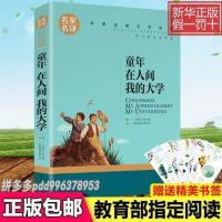 童年在人间我的大学 童年钢铁是怎样炼成的鲁滨逊漂流记海底两万里格列佛游记记名人传