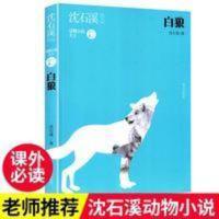动物小说大王 白狼 动物小说 白狼 沈石溪动物经典作品小说系列中小学生课外阅读书籍
