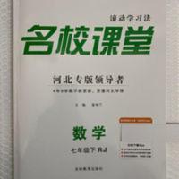 20秋 名校课堂 河北专版领导者 7七年级下册数学人教版 20秋 名校课堂 河北专版领导者 7七年级下册数学人教版