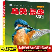 收藏优先发货 鸟类昆虫大百科[大图大字注音] 鸟类昆虫百科全书注音幼儿科普书幼儿园小学生大百科书绘本故事书