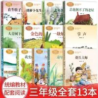 花的学校+搭船的鸟+一块奶酪 全套14册在牛肚子里旅行胡萝卜先生的长胡/去年的树小学生三年级