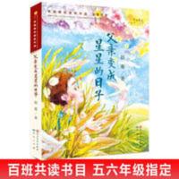 父亲变成星星的日子 父亲变成星星的日子 青铜葵花奖 赵菱 天天出版社三四五六年