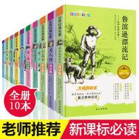 全套10本 全套10本世界经典名著鲁滨逊漂流记8-10-12岁小学生课外读物