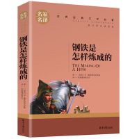 钢铁(特价版) 钢铁是怎样炼成的正版原著 全译本无删减 世界名著初中生课外书籍