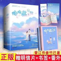 偷偷藏不住随机一册无赠品 偷偷藏不住 正版竹已著白日梦我偏偏宠爱青春言情校园小说多规格