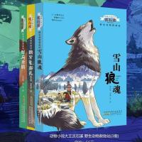 沈石溪动物小说野生动物救助站雪山狼魂小学生三四五六年级必读书