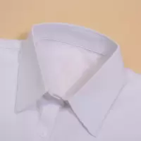 白色尖领. 女士假领子百搭假领韩版白色衬衫领秋冬衬衣假领韩国装饰配饰领子