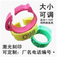 混色/无编号20个,请留言 鸡脚环卡扣式鸡用脚环脚圈记号识别环鸡鸭鹅家禽类脚环脚圈标签