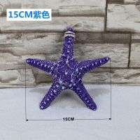 紫色 海星海星五指海星海螺贝壳家居地台装饰