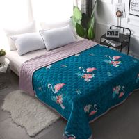 火烈鸟 90x200CM 冬季加厚盖毯多尺寸速暖珊瑚绒毯子法兰绒毛毯单人双人盖毯床单