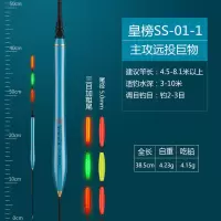 SS01-1号（日夜两用电子漂） 远投/大物/矶钓 皇榜大物夜光漂日夜两用电子鱼漂巨物超醒目矶钓远投滑漂夜钓浮漂