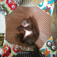 小号（外直径29） 松鼠飞鼠刺猬蜜袋鼯龙猫仓鼠花枝鼠土拨鼠凉席吊床避暑防暑降温