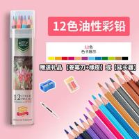 12色彩铅/铁桶【赠礼品】 小学生油性彩色铅笔12/24/36/48色铁盒铁桶彩铅绘图涂色彩笔套装