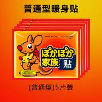 【普通款】5片装 暖贴宝宝贴自发热防寒保暖身贴足暖宝贴宫暖女宫寒腰腹部热帖