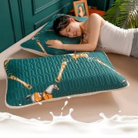 爱马绿【乳胶枕套】 枕套【1只装】 高档乳胶枕套枕头套一对装带枕头单人一只成人48x74枕芯保护套装