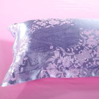 艾瑞拉-紫兰 枕套一对 欧式枕套一对装米黄色成人单人双面儿童学生家用枕头套宿舍全棉花